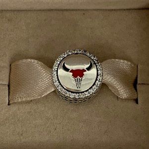 Pandora New Mexico exclusive charm